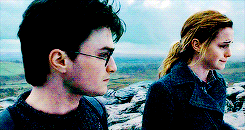 the-absolute-best-posts:   Harry Potter Challenge: Forty Scenes #12    This post