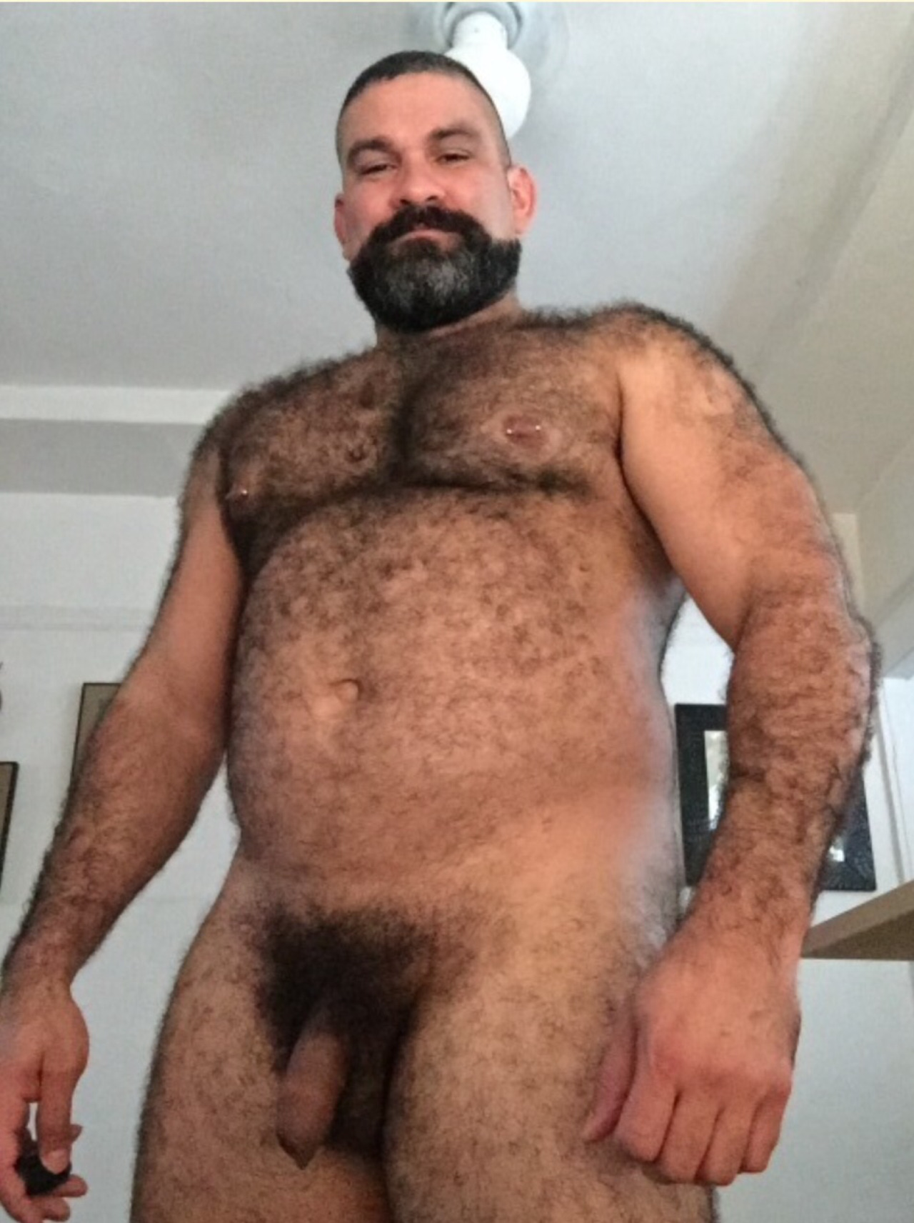 Hirsuitophilia