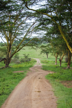 travelingcolors:  Lake Nakuru National Park | Kenya (by Nacho Coca) 