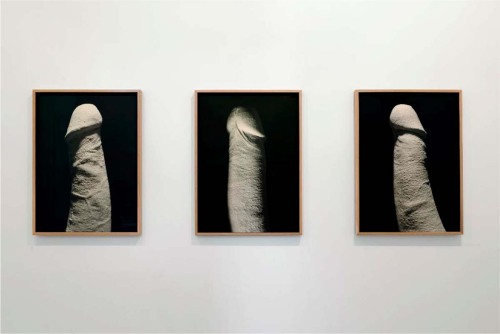 penis nude