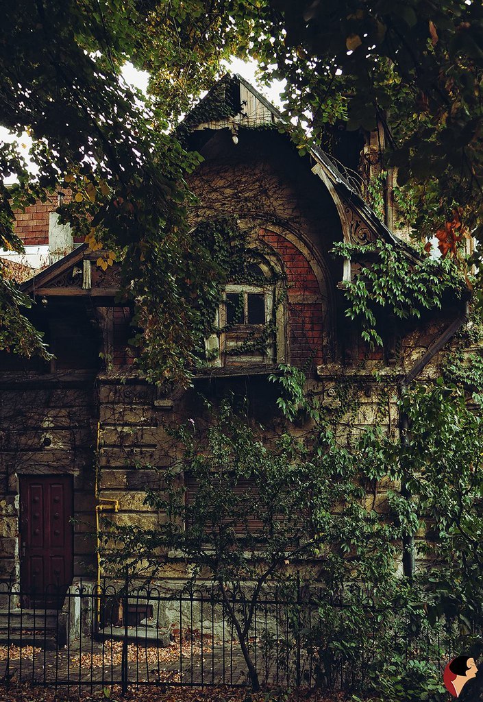 lunarsgarden:   🌙 