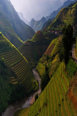 nock-nock-nock:    The Hill by Por Pathompat. Mù Cang Chải District, Vietnam   