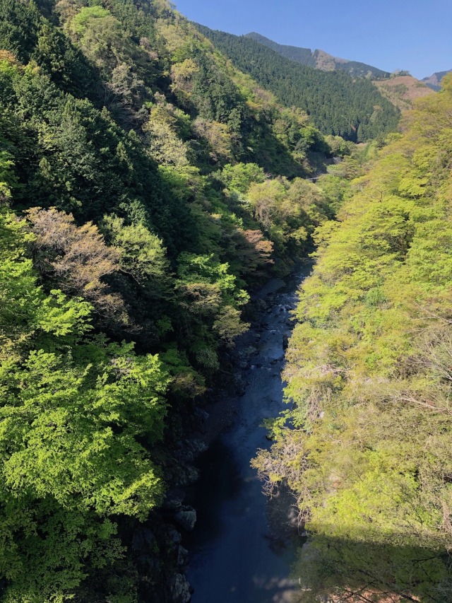 狼の士道 Tumblr Posts Tumbral Com 狼の士道 Tumblr Posts Tumbral Com