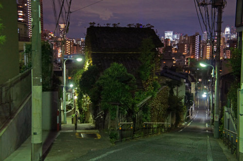 夜散歩のススメ 