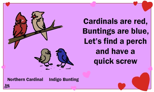 birdcheese:For those that are more fowl-minded.
