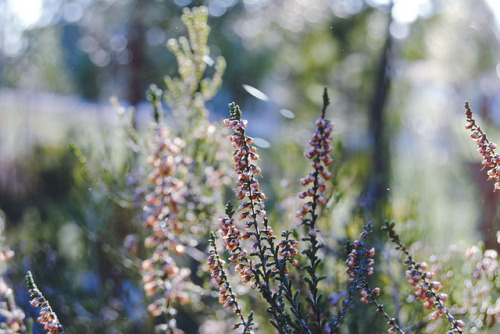 17sailors:  untitled by Sheila con hache on Flickr.