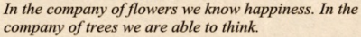 gaycommunist:into the woodsfranz kafka “letters to friends, family, and editors”