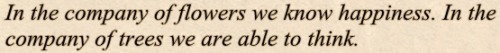 gaycommunist:into the woodsfranz kafka “letters to friends, family, and editors”