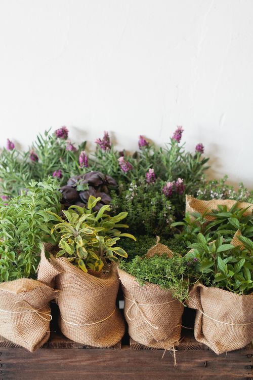 shinyapology:  thelunafox:  Crystals, herbs, potions &amp; nature ~ ☾ •