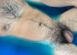 triforcepup:  Blue tummy 