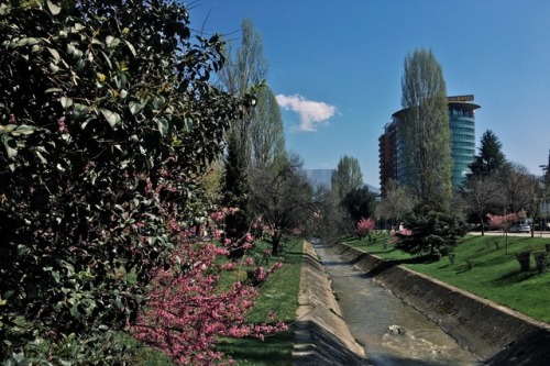 princesssara5:Tirana, sot.