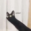icarusistires