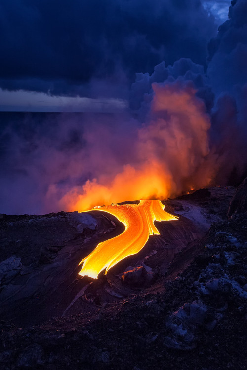 musts:  © Tom Kuwalii { website | facebook } Hawaii
