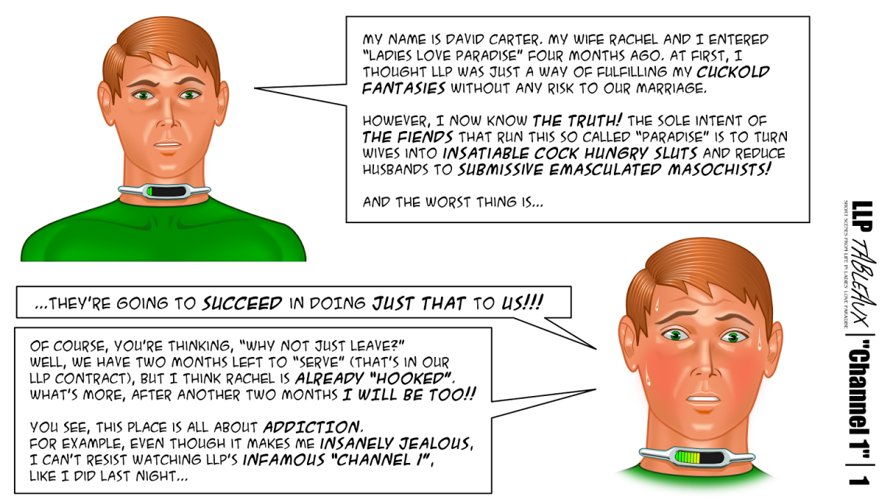 lamivex:  Here is a short comic illustrating one of my LLP ideas. I originally intended