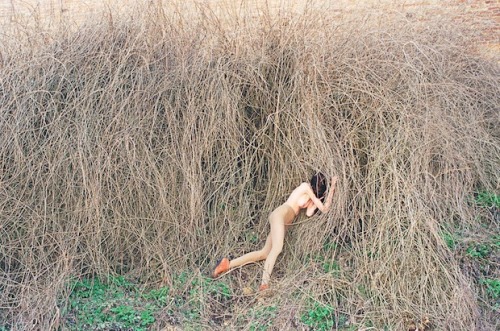 Nudism #16 ::: synchrodogs