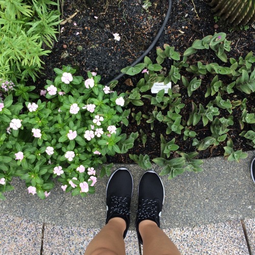 caeffein: went to a secret garden today