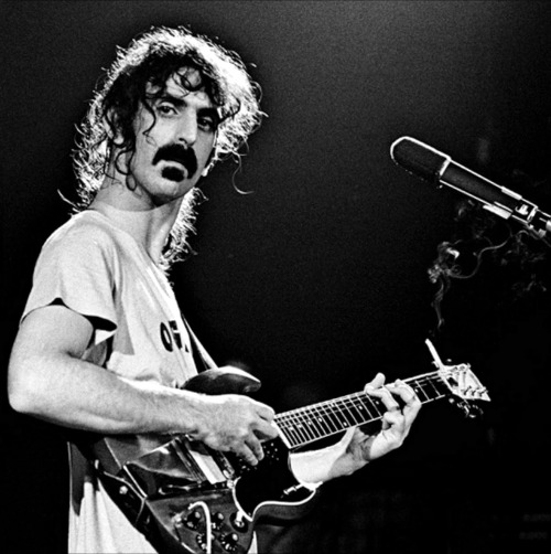 zimtrim: Frank Zappa