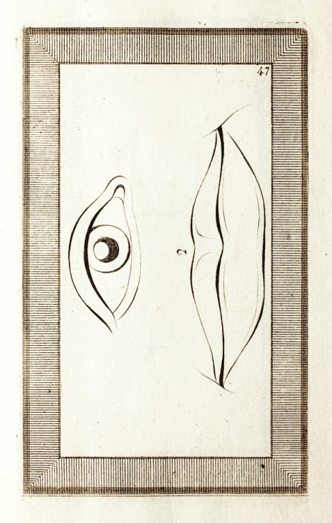 design-is-fine:Johann Caspar Lavater, from the book Hundred Rules of Physiognomy, 1772. Leipzig. Source