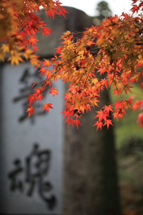 mistymorningme: 筆魂 - Soul of Calligraphy by Apricot Cafe