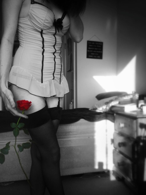 kitty-in-training:Photos I took with one of the first roses Dan ever brought me.   These are so beautiful.
