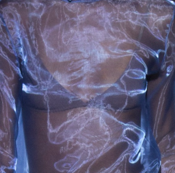 moetu:  details @ nina ricci f/w 16