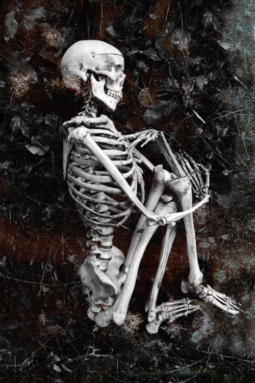 wolftea:  Took my new skeleton out for a shoot 