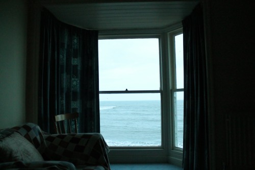 Room With A View, Aberystwyth February 2013