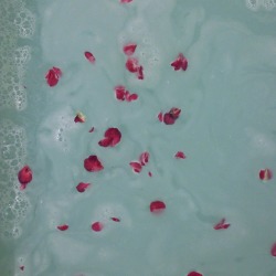 honeasy:  milk and honey bath with petals from my backyard