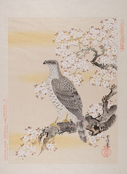 Birds and flowers after Kanō Tsunenobu,  (1636–1713). MKG Hamburg