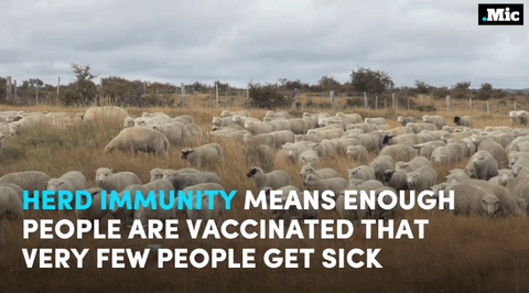 sourcedumal: jackburtonsays:  homoglobinopathy:  the-future-now:  this is why we