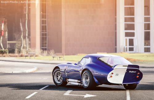 Starring: Shelby Cobra Daytona