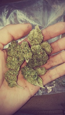 blowmelikekushhh:  Handful Of Joy ✋