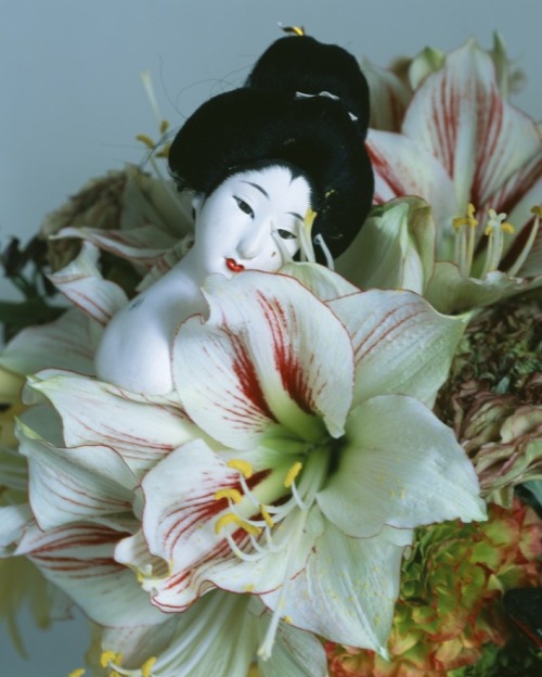 wouwiuwa: Nobuyoshi Araki /// Flowers 1985-2008