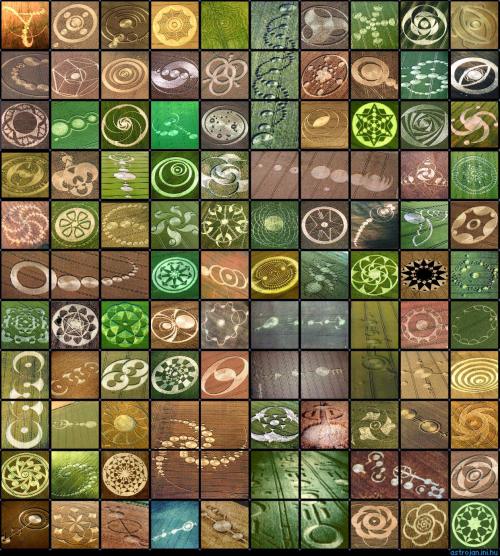 Sex age-of-awakening:  sola-may:Crop circles pictures