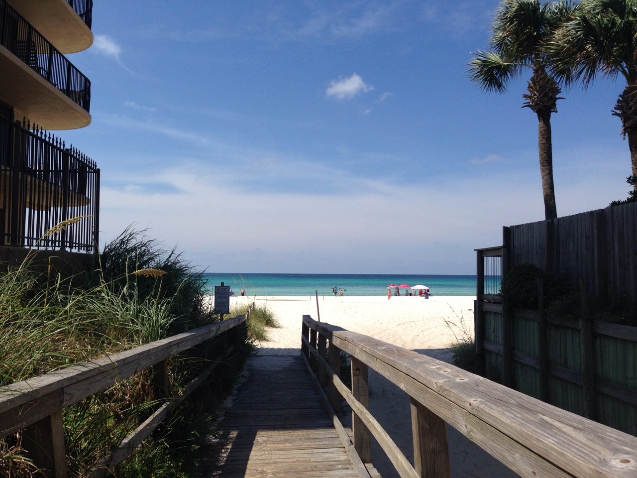plantainthighs:  Can I live by the beach forever?