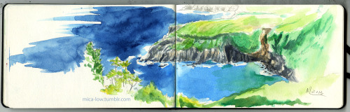 sao-miguel-with-an-iphone: Last set of São Miguel sketches: more plants, a final dinner at Maria’s,