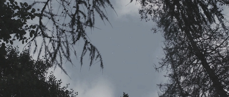 evilnol6:  .”Melancholia” written and directed by Lars von Trier