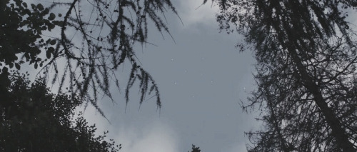 evilnol6:  .”Melancholia” written and directed by Lars von Trier