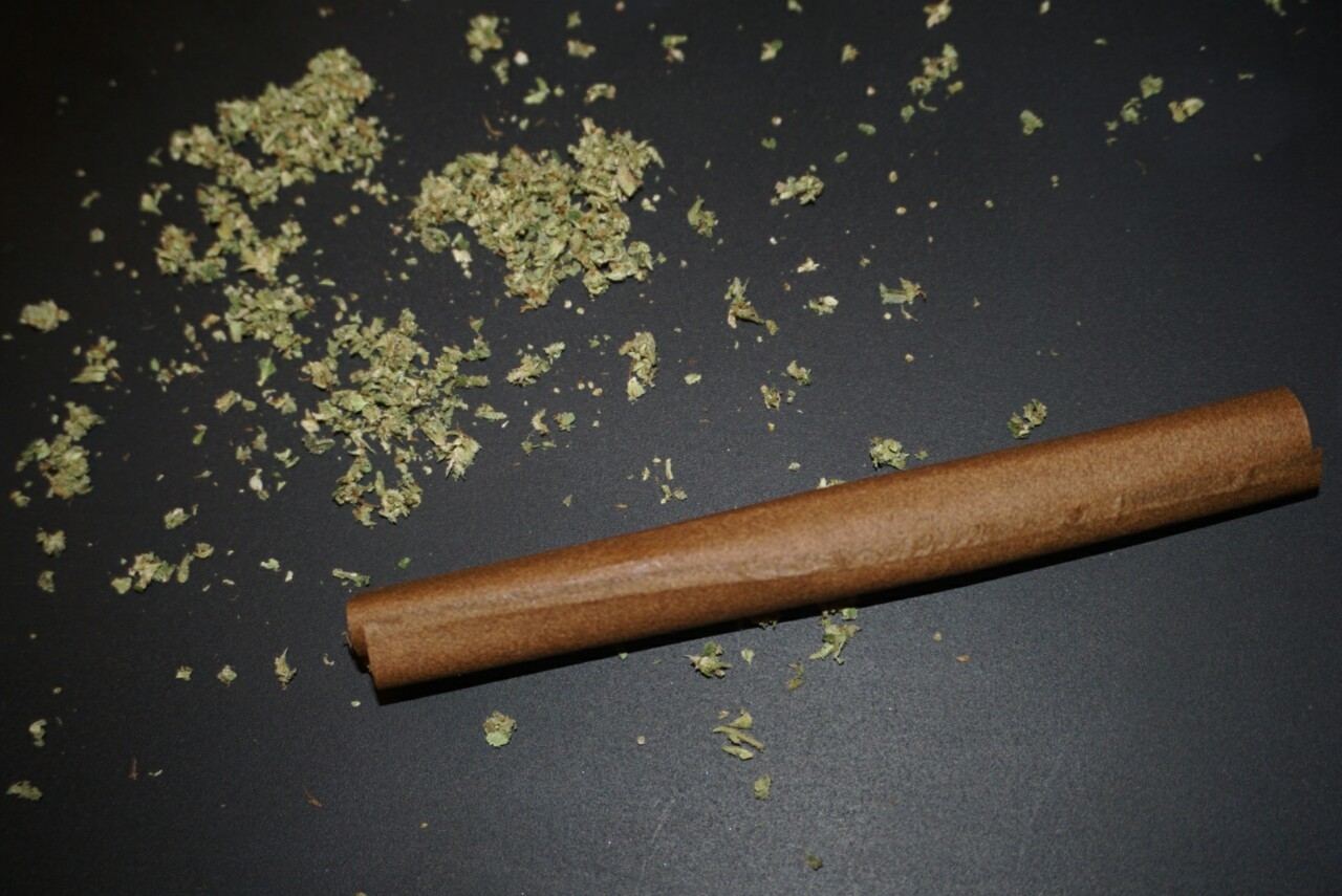 mice-teeth:  3 gram halloween blunt