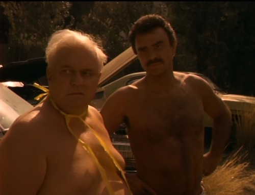  Evening Shade (TV Series) - ’Three Naked Men: Part 2,’ S2/E2 (1991), Charles Durning as Dr. Harlan 