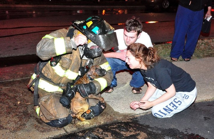 uni-t-e-a:  amroyounes:  Time to show some love and appreciate these heroes.  Firefighters