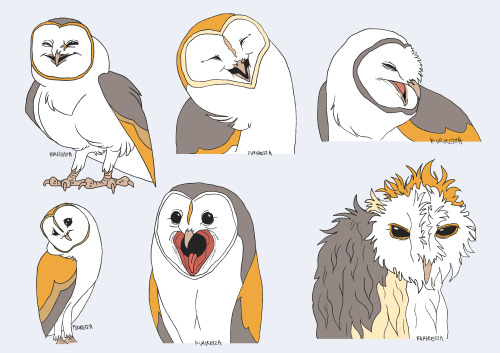 furioustheowlboy: “Owls are so inexpressive” Me, an intellectual.