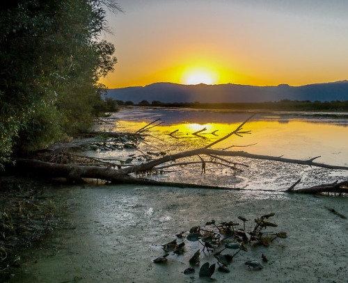 americasgreatoutdoors:It’s no wonder there’s a global celebration for World Wetlands Day. Wetlands r