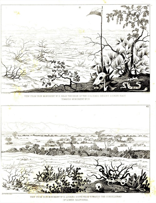 Science SaturdayCacti along the U.S.-Mexican BorderFrom 1848 to 1855, the United States conducted a 