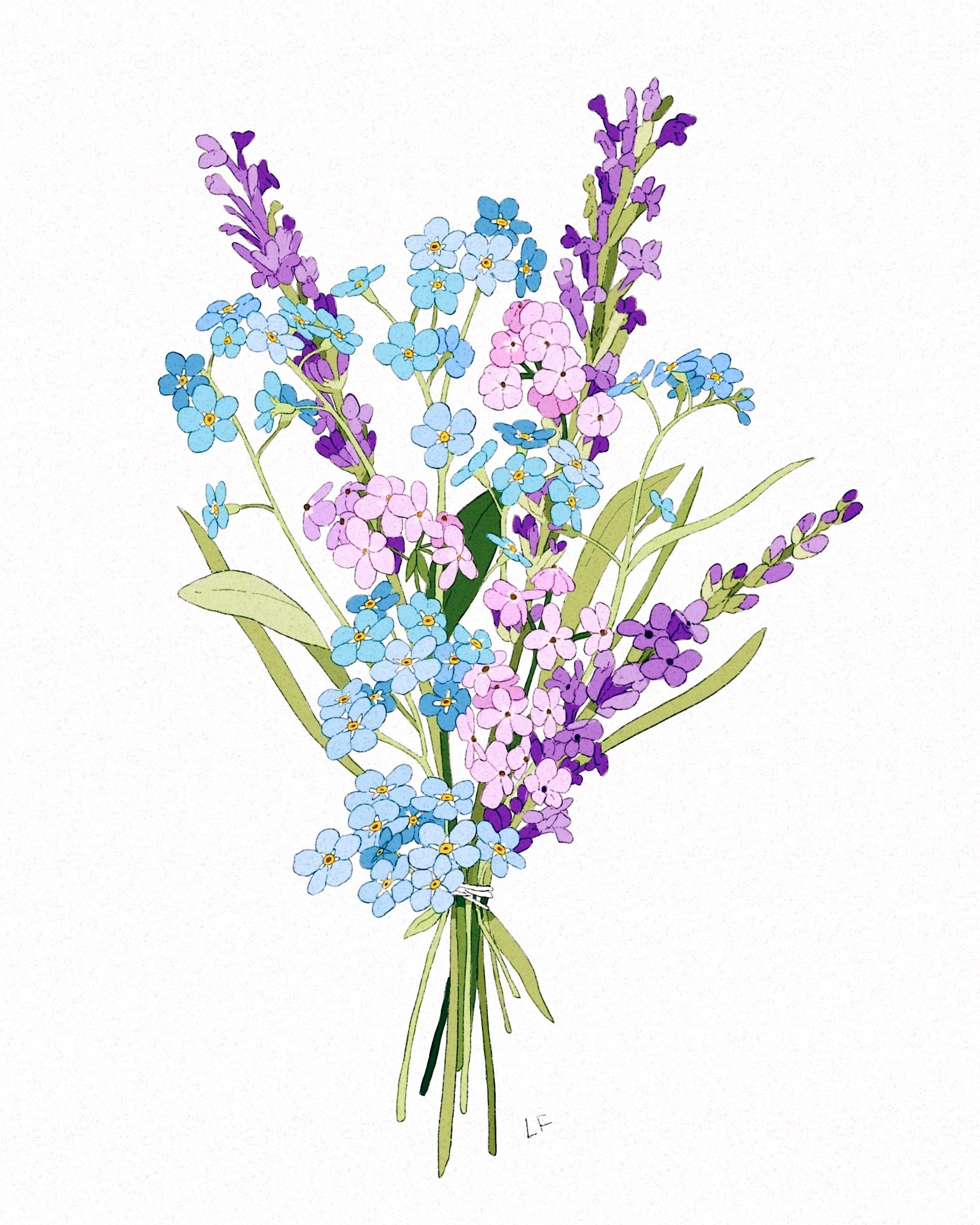 libbyframe:Recent bouquet illustrations 