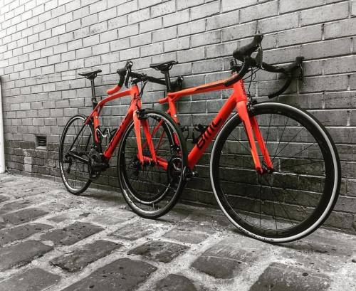 youcantbuyland:#Repost @northcitycycles ・・・ Happy Holidays from the team at NCC! Is everyone well re
