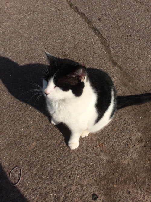 mykeowns:Made a new awesome friend part 1