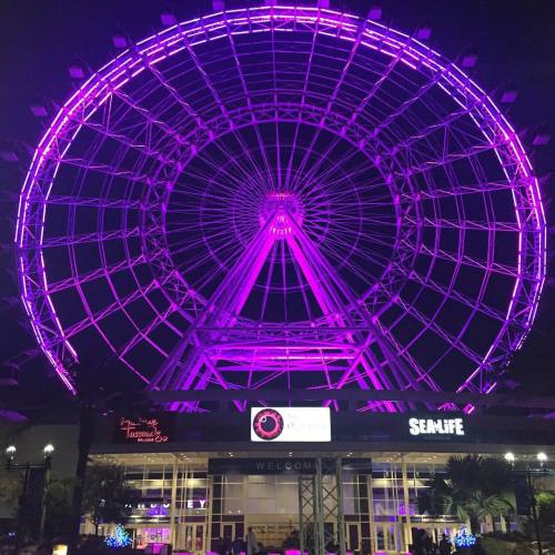 I miss Orlando already! #takemeback #orlando #florida #orlandoeye #idrive #idrive360 #IAAPA #ferrisw