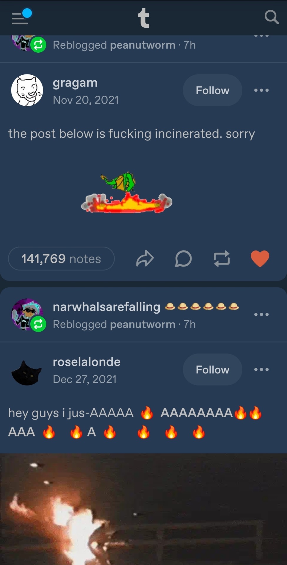 Tumblr media