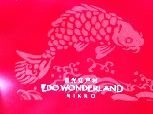 Week 29: The next day we went to Edo Wonderland (江戸村 - Edo Mura)! It’s almost like a theme par